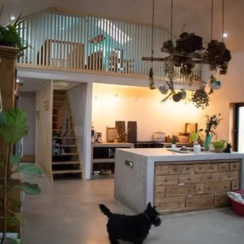 M+S Project - Home extension, Construction Services Cork - interior view