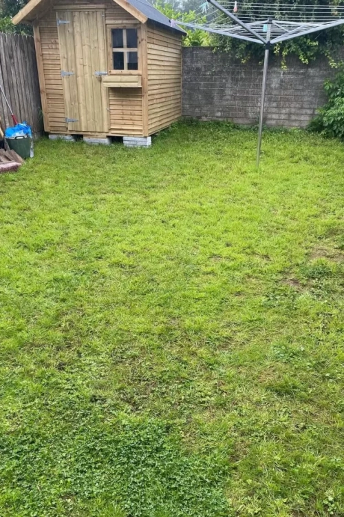 Sliabh Alainn Project, before picture - landscaping services Cork