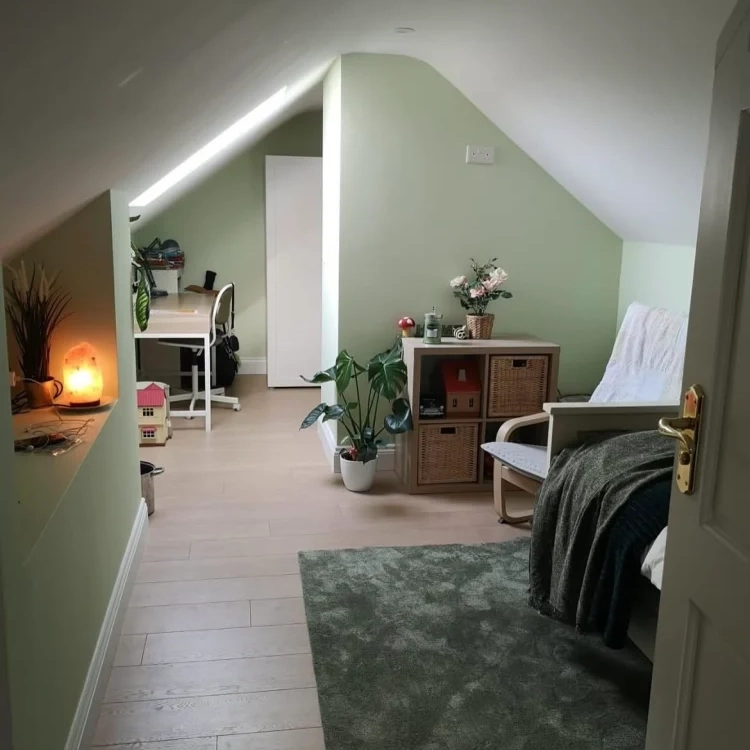 Ardpatrick Project - Attic conversion Cork